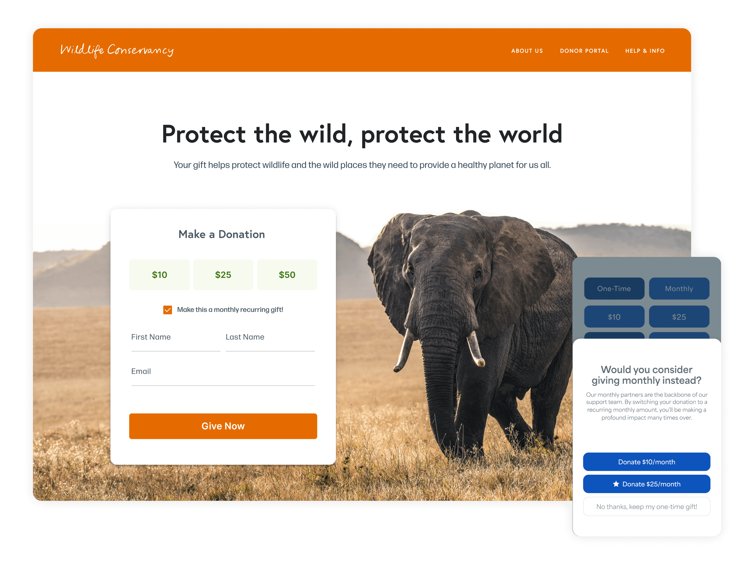 RaiseDonors Donation Page
