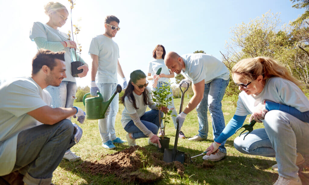Fundraising Ideas for Nonprofits: Tree Planting Day