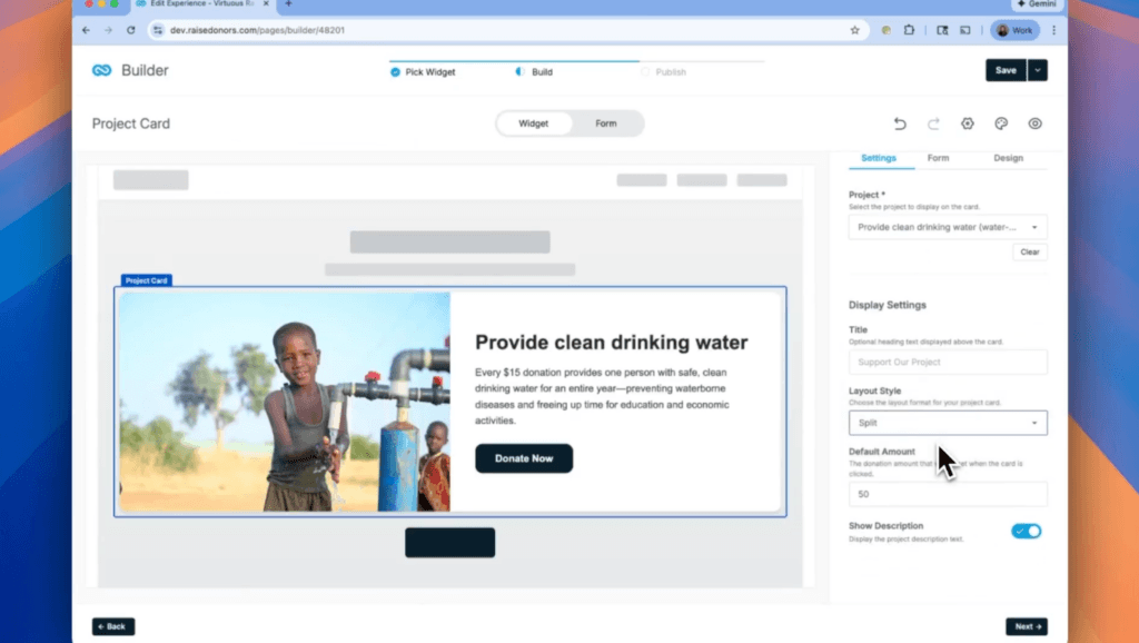 Donation Widget: Project Impact